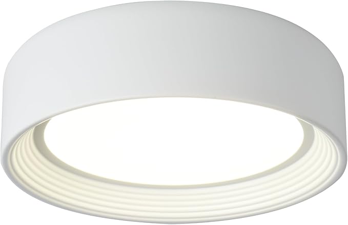 Dimmable Flush Mount Ceiling Light White,24W LED Ceiling Light Fixture,3000K-6500K 5CCT Round 11.81 in Modern Lighting Fixtures for Laundry Room Hallway Kitchen