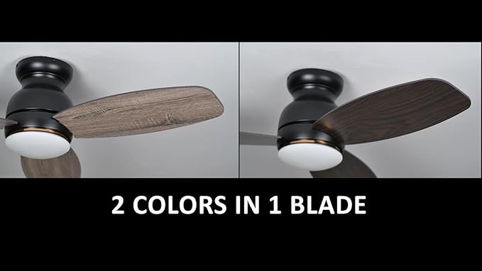 Carro Ceiling Fan with Lights, Indoor & Outdoor Ceiling Fan, 48" Low Profile DC Smart, Compatible with Alexa, Siri, Google Home & Smart APP, 2 Colors of Reversible Blades, Dark Walnut & Wood