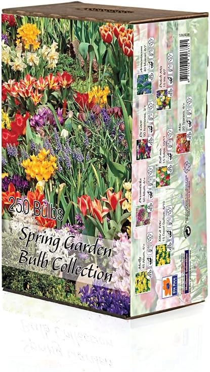 BRECK'S - Spring Flowering Garden Bulb Mixture, Includes Set of 250 Bulbs per Offer - Due to State restrictions, Can't Ship to ID or WA