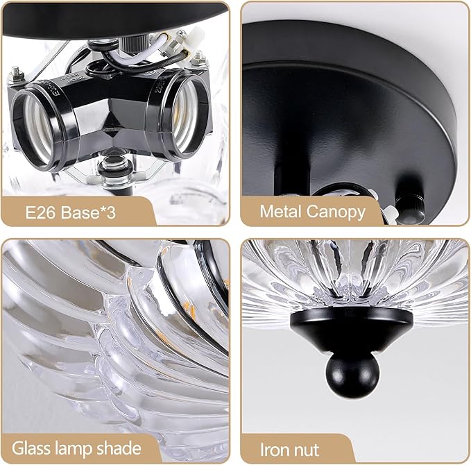 Modern Black Ceiling Light Fixture, 12" Clear Glass Flush Mount Chandeliers, Semi Flush Mount Ceiling Light Fixture Suitable for Living Room Hallway Kitchen Bedroom