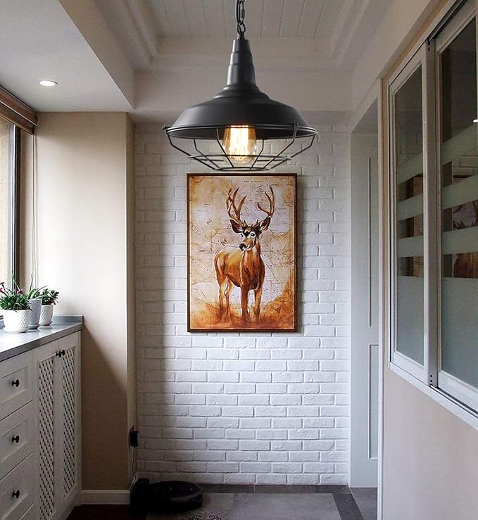 Black Farmhouse Pendant Light - 2 Pack Industrial Vintage Hanging Light Fixtures Metal Wire Cage Pendant Lighting with Adjustable Chain for Kitchen Barn Hallway Porch Dining Room