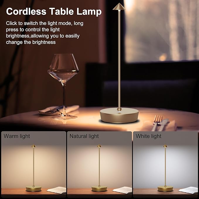 Cordless Battery Powered Table Lamp, Rechargeable LED Dimmable Brightness Metal 6000mAh Touch Desk Lamp Portable Modern Design for Restaurant Patio Indoor & Outdoor (Titanium 2 Pack)