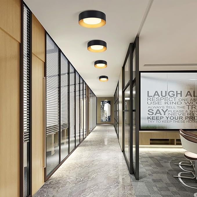 Modern Flush Mount Ceiling Lights,Minimalist 12.5IN Round Close to Ceiling Light Fixture,Black and Gold Metal Ceiling Lighting Lamp for Entryway,Hallway,Kitchen,Bedroom