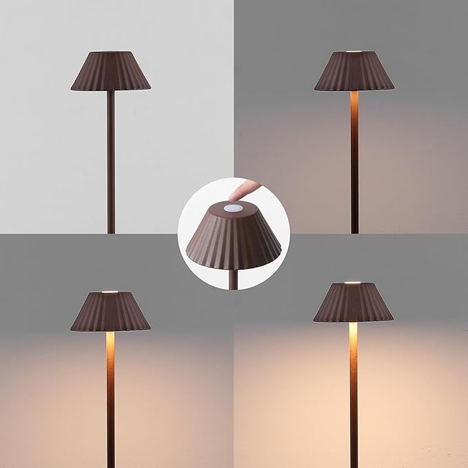 Eyely EYL7168A Jenny 44" Modern Minimalist Indoor/Outdoor Iron Pleated Shade Rechargeable/Cordless Dimmable Integrated LED Floor Lamp, Brown