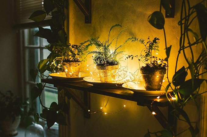 Hometown Evolution, Inc. Warm White LED Fairy Lights - Plug in - 33 Foot 100 LED Micro Lights on Copper Wire - Waterproof for Indoor and Outdoor Use