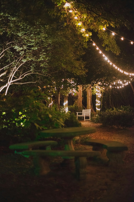 Lighting Beyond the Walls: Designing Outdoor Spaces with Purpose and Beauty