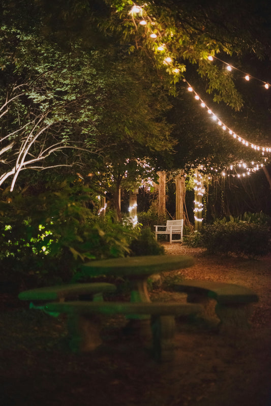 Outdoor & Garden Lighting Ideas
