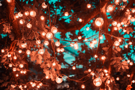 Twilight Blossoms: Enhancing Your Spring Garden with Outdoor Lighting