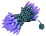 Novelty Lights 24FT 70 LED C6 Christmas String Lights, Outdoor Tree Commercial Grade Permanent Decorations (Purple)