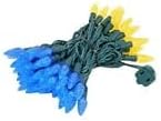 Novelty Lights 24FT 70 LED C6 Christmas String Lights, Outdoor Tree Commercial Grade Permanent Decorations (Blue/Yellow)