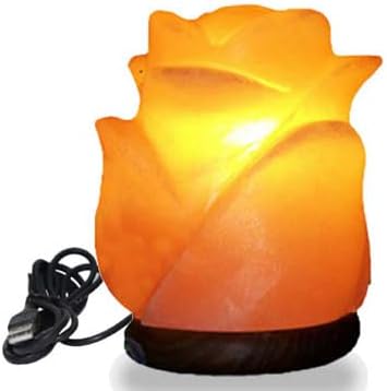 HL Himalayan Pink Salt USB Multi Colored lamp (Flower)