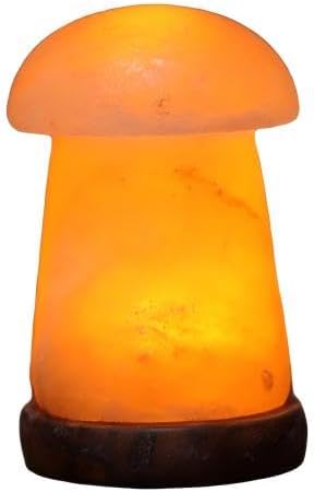 Himalayan Salt Lamp with USB Power, Natural Shape, Color-Changing LED and Warm White Light, Wooden Base Night Light (E, Monochrome)