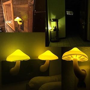 AUSAYE 4 Pack Plug in Night Light, Mushroom Light LED Nightlights for Kids, Adults, Bedroom, Bathroom,Hallway, Stairs, Kitchen Muti-Color