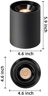 OKELI Black Modern LED Dimmable Ceiling Light Fixtures for Hallway Kitchen Entryway, 20W 1300LM 2700K-6000K Flush Mount Close to Ceiling Lighting, Cylinder Ceiling Lamps for Living Room 1pack