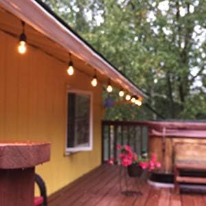 Rolay S14 Clear String Light Bulbs, 2W Plastic LED Replacement Bulbs for Outdoor Patio String Lights with E26 Base, Pack of 25