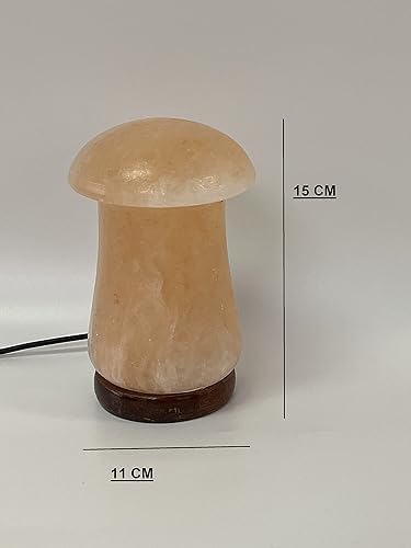Himalayan Salt Lamp, USB Powered Color Changing Mushroom Shaped Lamp Unique Gift For Home Decore and Relaxation