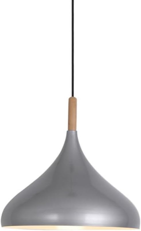 Creative Colorful Wood Metal Pendant Light, Nordic Modern Hanging Light Fixture, Single Rustic Farmhouse Pendant Lamp, Simple Retro Pendant Lighting for Kitchen Island Dining Table (Silver,16.5in)