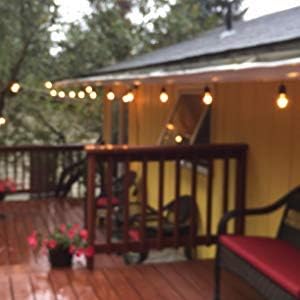 Rolay S14 Clear String Light Bulbs, 2W Plastic LED Replacement Bulbs for Outdoor Patio String Lights with E26 Base, Pack of 25