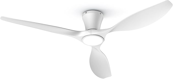 TALOYA 52 Inch White Ceiling Fans with Lights Led Remote Control Flush Mount Low Profile for Bedroom Farmhouse Patio Outdoor Living Room Kitchen Dining Room,DC Motor,Reversible