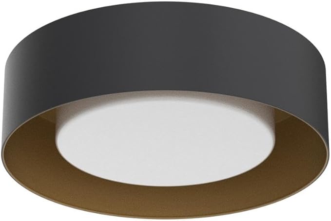 Modern Flush Mount Ceiling Light,Minimalist Close to Ceiling Lighting Fixture,Black and Gold Circular Ceiling lamp for Bedroom,Dining Room,Entry,Hallway,Balcony, Bathroom (12.5'')