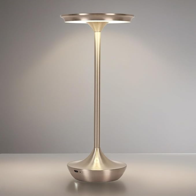 Rechargeable Cordless Table Lamp,Portable Outdoor Battery Operated LED Table Light Touch Control 3 Color Dimmable for Bedroom, Patio, Cofee,Dining Home,Restaurant&Living Room-Silver