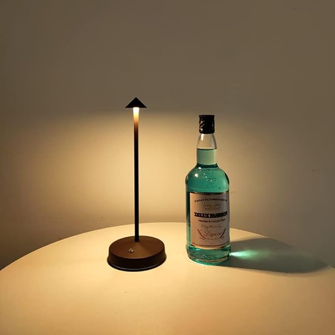 Rechargeable Cordless Table Lamps,Modern Battery Operated Table lamp,Portable LED Touch 2 Levels Brightness Dimmable Bar Lamp,Small Lamp in Aluminum for Bars,Restaurant,Living Room(Rust)