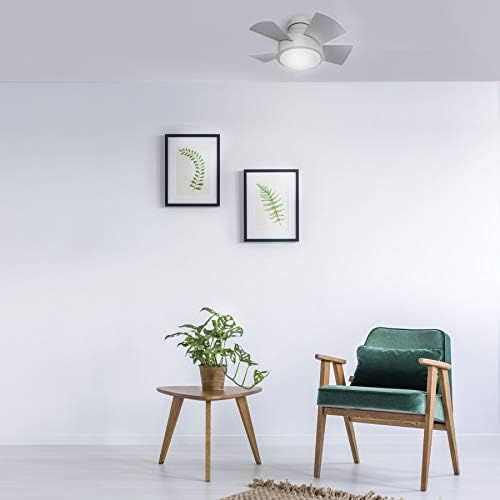 Modern Forms FH-W1802-26L-35-TT Vox - 5 Blade Flush Mount Ceiling Fan with Light Kit-11 Inches Tall and 26 Inches Wide, Finish Color: Titanium Silver, Color Temperature: 3500