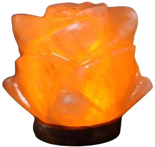 Himalayan Salt Lamp with USB Power, Natural Shape, Color-Changing LED and Warm White Light, Wooden Base Night Light (I, Monochrome)