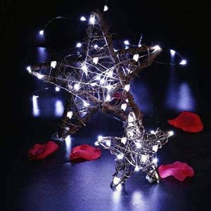 ZNYCYE 50 LED Fairy Lights with Timer, 6 Pack 8.2Ft 8 Modes Battery Operated Fairy Lights, Mini Led String Lights for DIY Wedding Bedroom Mason Jar Vases Table Party Christmas Decoration (Cool White)