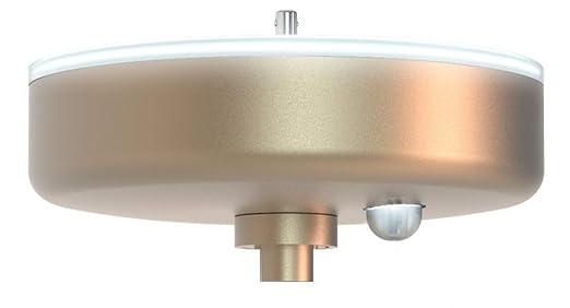 SkyX SkyPlug Smart Plug & Play Lighting Base - Carina-Champagne Bronze Finish