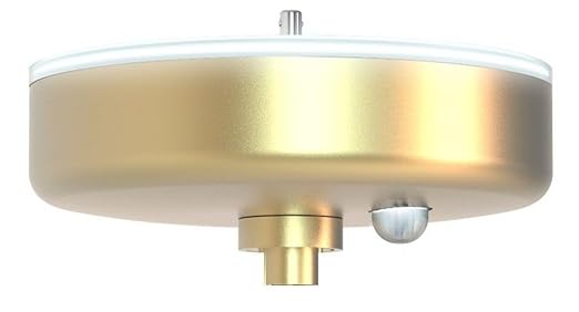 SkyX SkyPlug Smart Plug & Play Lighting Base - Carina-Modern Gold Finish