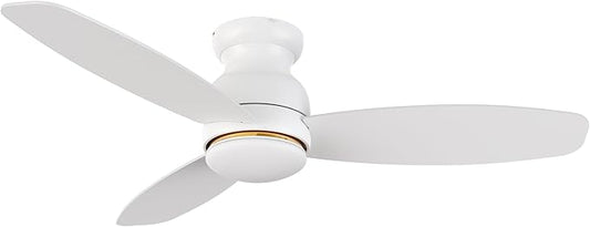 Carro Ceiling Fan with Lights, Indoor & Outdoor Ceiling Fan, 52" Low Profile DC Smart Ceiling Fan Compatible with Alexa, Siri, Google Home & Smart APP, 2 Colors of Reversible Blades,White