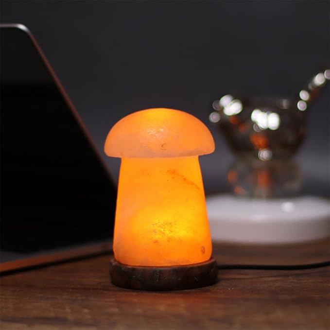 Himalayan Salt Lamp with USB Power, Natural Shape, Color-Changing LED and Warm White Light, Wooden Base Night Light (E, Change Color)