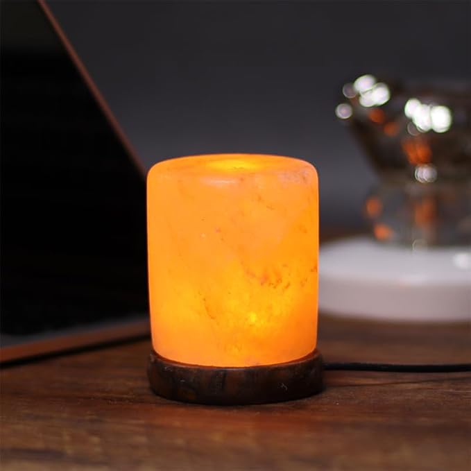 Himalayan Salt Lamp with USB Power, Natural Shape, Color-Changing LED and Warm White Light, Wooden Base Night Light (B, Monochrome)