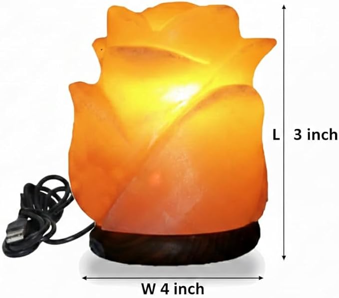 HL Himalayan Pink Salt USB Multi Colored lamp (Flower)
