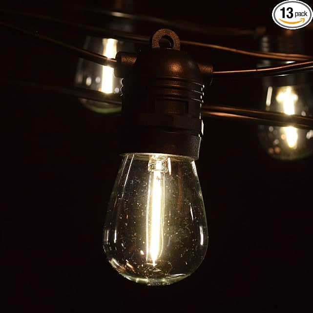 Hometown Evolution, Inc. E26 Commercial String Lights with 16 Gauge Wire (24 Foot 12 Socket, S14 LED Filament 1 Watt Bulbs)