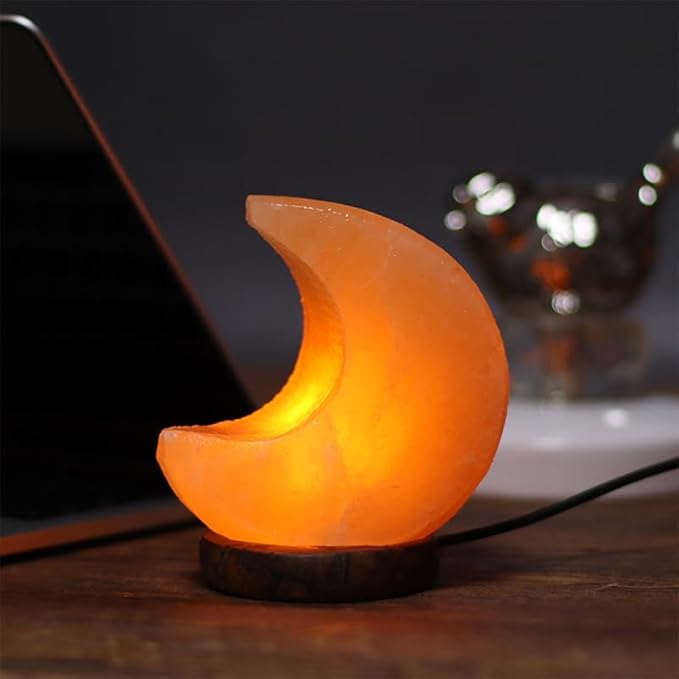 Himalayan Salt Lamp with USB Power, Natural Shape, Color-Changing LED and Warm White Light, Wooden Base Night Light (M, Monochrome)
