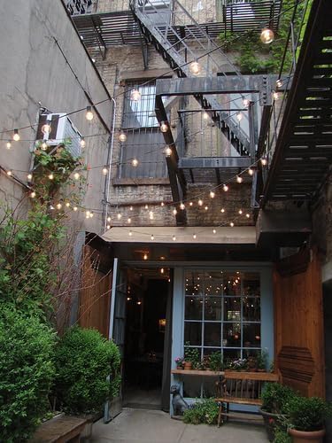 Hometown Evolution, Inc. E26 Commercial String Lights with 16 Gauge Wire (S14 LED Plastic, 24 Foot 12 Socket)