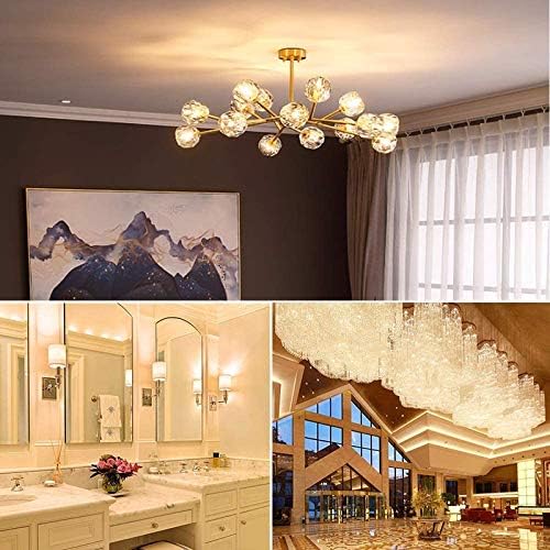 G9 Halogen Bulb 120V 40W T4 Type 2 Pin Base for Range Hood Lights, Bathroom Light Bulbs, Microwave Ovens Candle Warmer Light Bulbs, Dimmable Warm White (10 Pack)