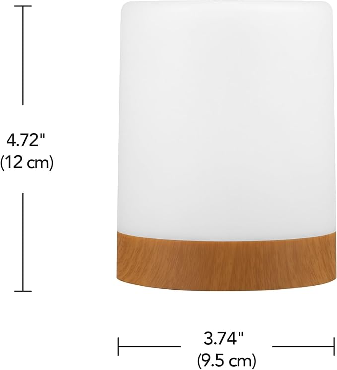 Globe Electric LED Integrated Rechargeable Multicolor Portable Touch Lamp with Included USB Cable
