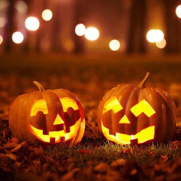 6FT Accessory Cord for Craft Lighting Halloween Pumpkin Christmas House Decorations, 4 Sets Candelabra-Base E12 Socket C7 Bulbs Clip Light with On/Off Switch Plugs (8 Bulbs, 4 Spare)