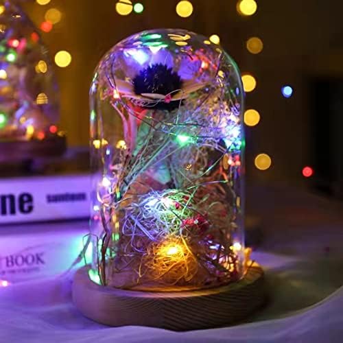Sanniu Led Fairy Lights Battery Operated, 6 Packs Mini Battery Powered Copper Wire Starry String Lights for Christmas,Bedroom,Wedding,Parties,Patio,Indoor,Home Decoration (5m/16ft Multicolor)