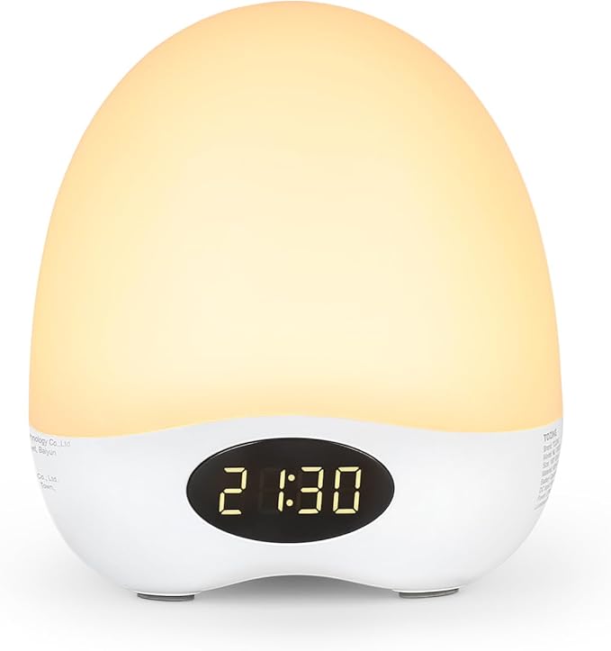 Egg Night Light for Nursery, Portable Rechargeable Baby Nightlight with Touch Control & RGB Color Changing, Dimmable Breastfeeding Lamp with Timer, Cute Wireless Night Light, Newborn Essentials