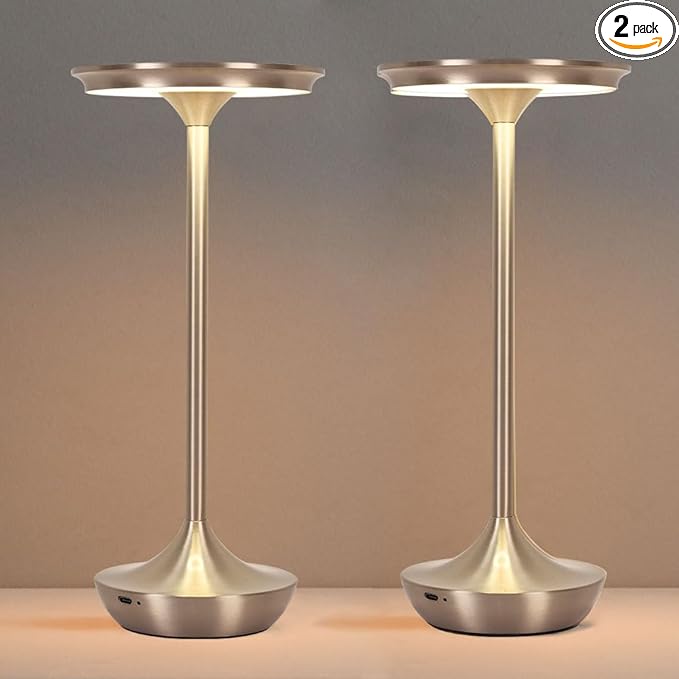 Cordless Table Lamp Set of 2,Portable Rechargeable 6000mAh Outdoor LED Table Lamps,3 Color Stepless Dimming Touch Battery Powered Lamp, Table Light for Restaurant/Patio/Camping/Bedroom(Silver)