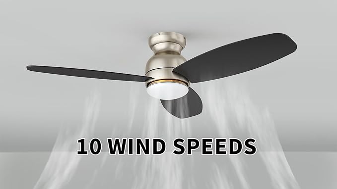Carro Ceiling Fan with Lights, Indoor & Outdoor Ceiling Fan, 52" Low Profile DC Smart Ceiling Fan Compatible with Alexa, Siri, Google Home & Smart APP, 2 Colors of Reversible Blades, Silver