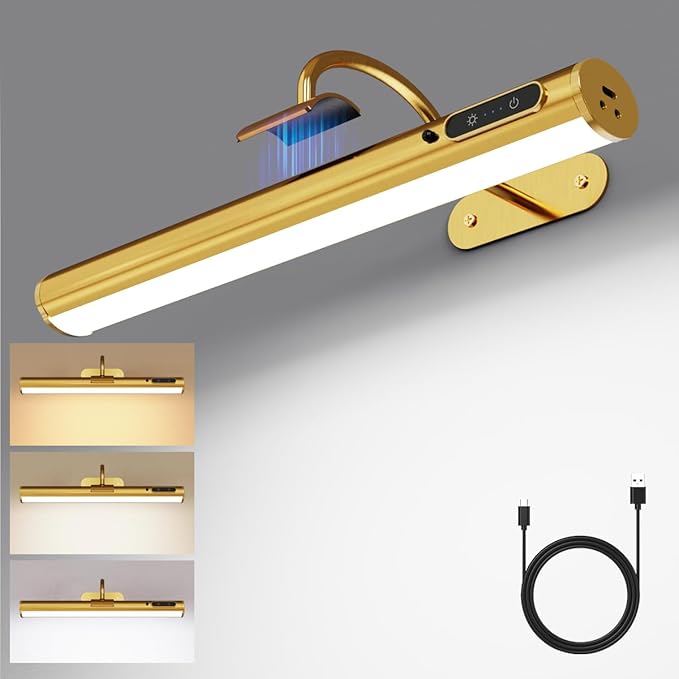 Wireless Rechargeable Picture Light, Battery Operated Art Wall Sconce with Remote Control, Magnetic Dimmable LED Picture Frame Lighting for Paintings Mirror Portrait Gallery Dart Board Indoor - Brass
