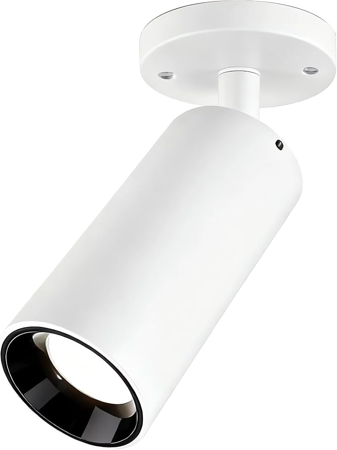 Dimmable Zoomable Spotlight for Ceiling & Wall, Adjustable Beam 10°-55°, Warm White 3000K, CRI 97 Flicker-Free LED Light for Art, Plants, Home Office