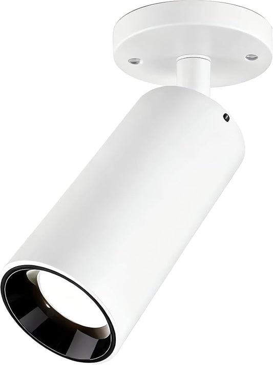 Dimmable Zoomable Spotlight for Ceiling & Wall, Adjustable Beam 10°-55°, Warm White 3000K, CRI 97 Flicker-Free LED Light for Art, Plants, Home Office
