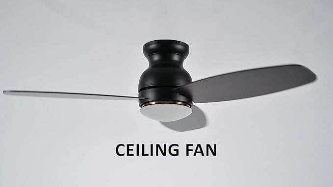 Carro 44" Black Ceiling Fan with Light Flush Mount, DC 10 Speeds Silent Ceiling Fan with Remote, 2 Light Colors Dimmable, for Living Room, Bedroom, Dark Walnut