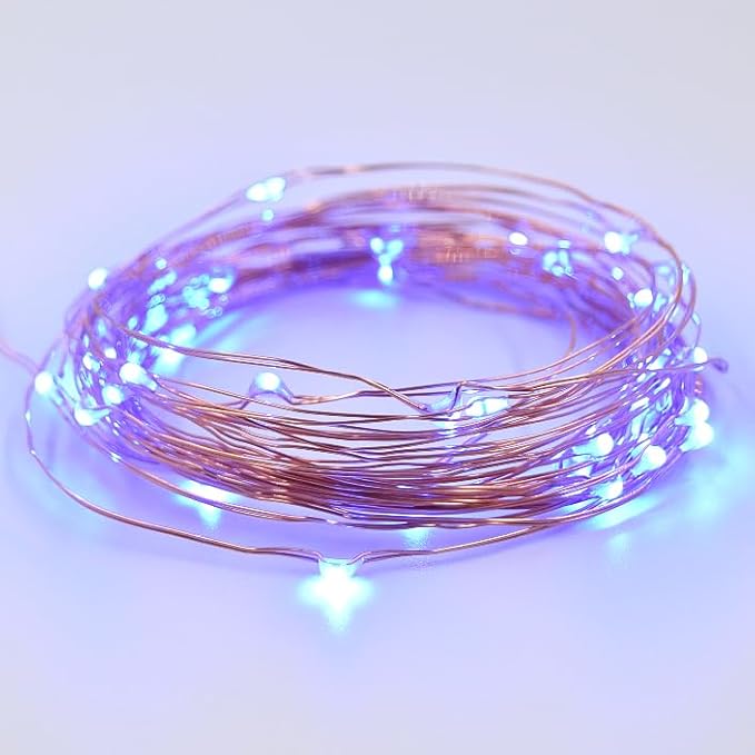 Hometown Evolution, Inc. Blue Battery Operated Fairy Lights - 16.5 Foot 50 Blue LED Fairy Lights on Copper Wire - Waterproof for Indoor and Outdoor Use